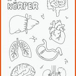 Kostenlos Anpassbare Vorlagen FÃ¼r Ausmalbilder Canva Fuer Arbeitsblätter Anatomie Pdf