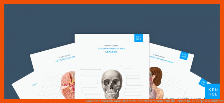 Kostenlose Anatomie ArbeitsblÃ¤tter: Schneller lernen! | Kenhub für deutsch in der pflege arbeitsblätter