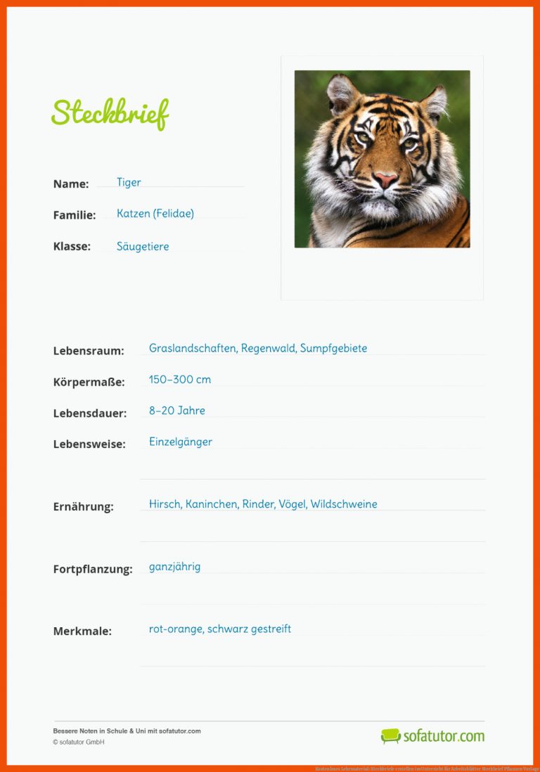 Kostenloses Lehrmaterial: Steckbriefe erstellen im Unterricht für arbeitsblätter steckbrief pflanzen vorlage
