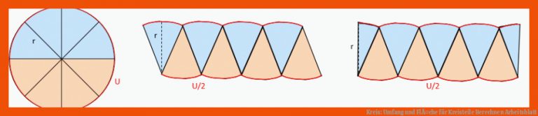 Kreis: Umfang und FlÃ¤che für kreisteile berechnen arbeitsblatt