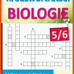 KreuzwortrÃ¤tsel Biologie / Klasse 5-6 Fuer fortpflanzung Und Entwicklung Des Menschen Arbeitsblatt Lösung
