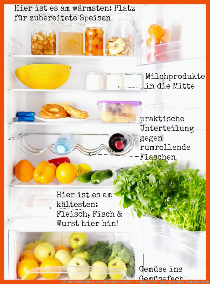 KÃ¼hlschrank Ordnung Schritt fuer Schritt erklaert - Ordnungsliebe für lagerung im kühlschrank arbeitsblatt