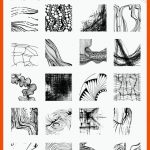 Kui â¢ Symbiose - Grafische Ausdrucksformen Im Kunstunterricht Fuer Grafische Strukturen Arbeitsblatt