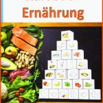 Kursbuch ErnÃ¤hrung: Gesund Essen Mit Hilfe Der ErnÃ¤hrungspyramide Fuer Kostenlose Arbeitsblätter Kopiervorlagen Gesunde Ernährung Kostenlos