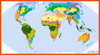 Landschaftszonen Der Erde Arbeitsblatt