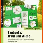 Lapbooks: Wald Und Wiese - 1.-4. Klasse Fuer Stockwerke Des Waldes Arbeitsblatt Klett