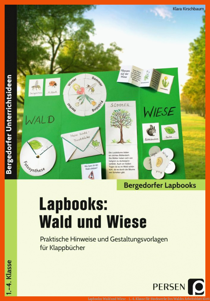 Lapbooks: Wald und Wiese - 1.-4. Klasse für stockwerke des waldes arbeitsblatt klett
