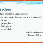 Lebende Fossilien. - Ppt Video Online Herunterladen Fuer Fossilien Arbeitsblatt