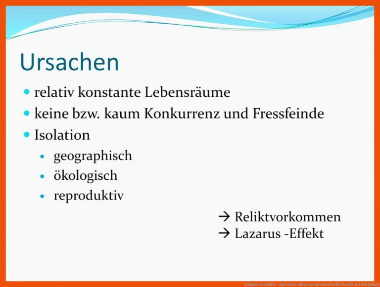 Lebende Fossilien. - ppt video online herunterladen für fossilien arbeitsblatt