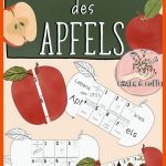 Lebenskreis Des Apfels Klasse 1 2 â Unterrichtsmaterial Im Fach ... Fuer Arbeitsblatt Apfel