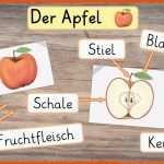 Lebenskreis Des Apfels Klasse 1 2 â Unterrichtsmaterial Im Fach ... Fuer Vom Kern Zum Apfel Arbeitsblatt