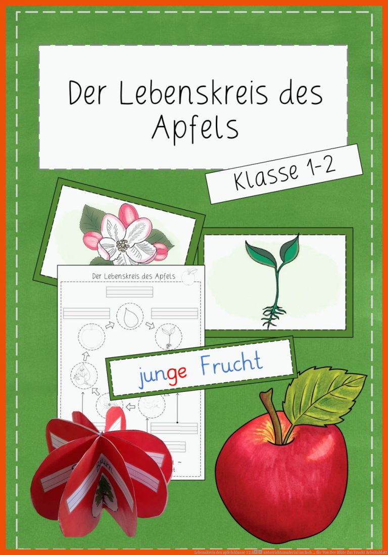 Lebenskreis Des Apfels Klasse 1 2 â Unterrichtsmaterial Im Fach ... Fuer Von Der Blüte Zur Frucht Arbeitsblatt
