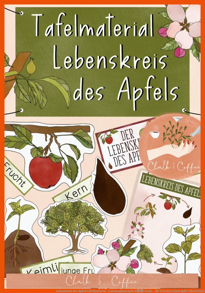 Lebenskreis des Apfels Tafelmaterial - Lebenszyklus Apfel â Chalk ... für vom kern zum apfel arbeitsblatt