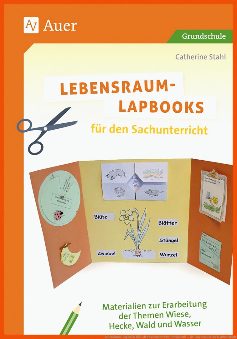 Lebensraum-Lapbooks fÃ¼r den Sachunterricht | Grundschule ... für lebensraum hecke arbeitsblatt