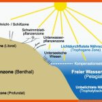 Lebensraum See Seen.de Fuer Zonierung See Arbeitsblatt