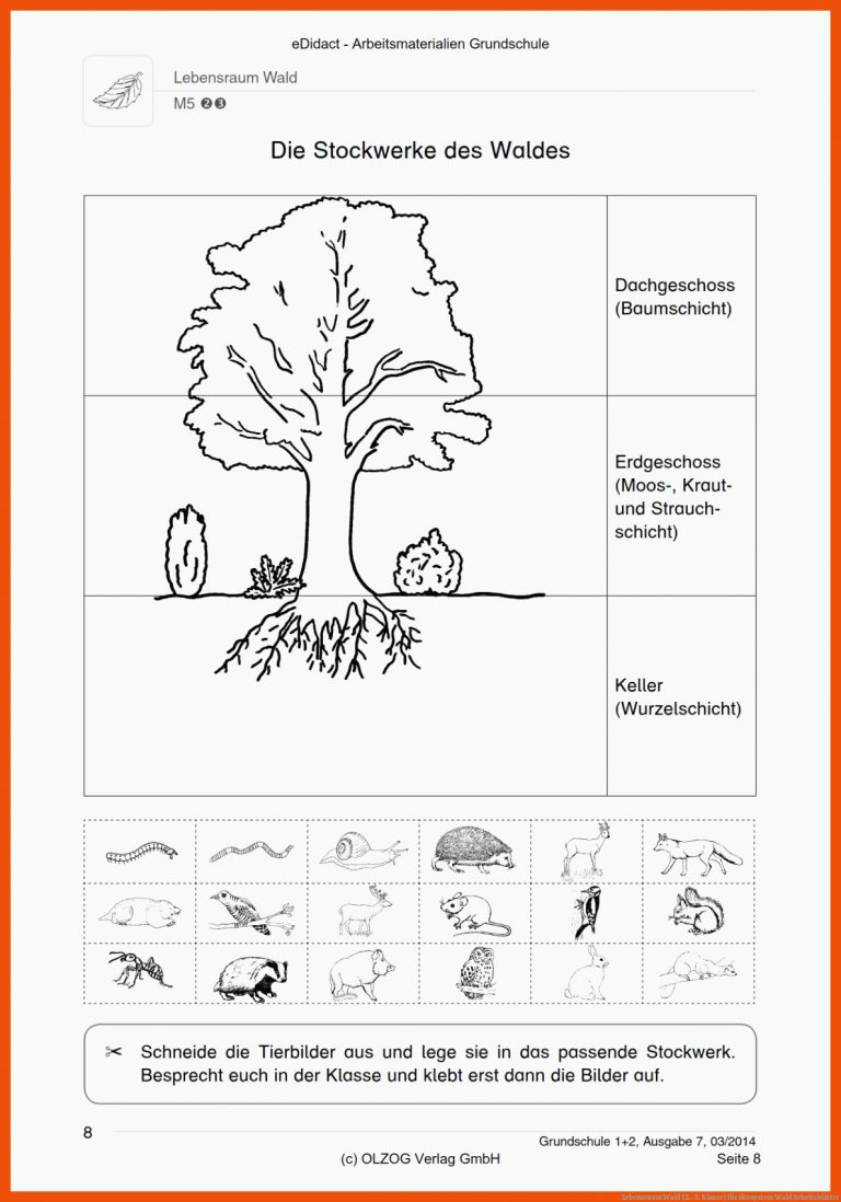 Lebensraum Wald (2.-3. Klasse) für ökosystem wald arbeitsblätter
