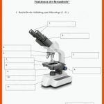 Lehrerheld.com Fuer Mikroskop Aufbau Und Funktion Arbeitsblatt