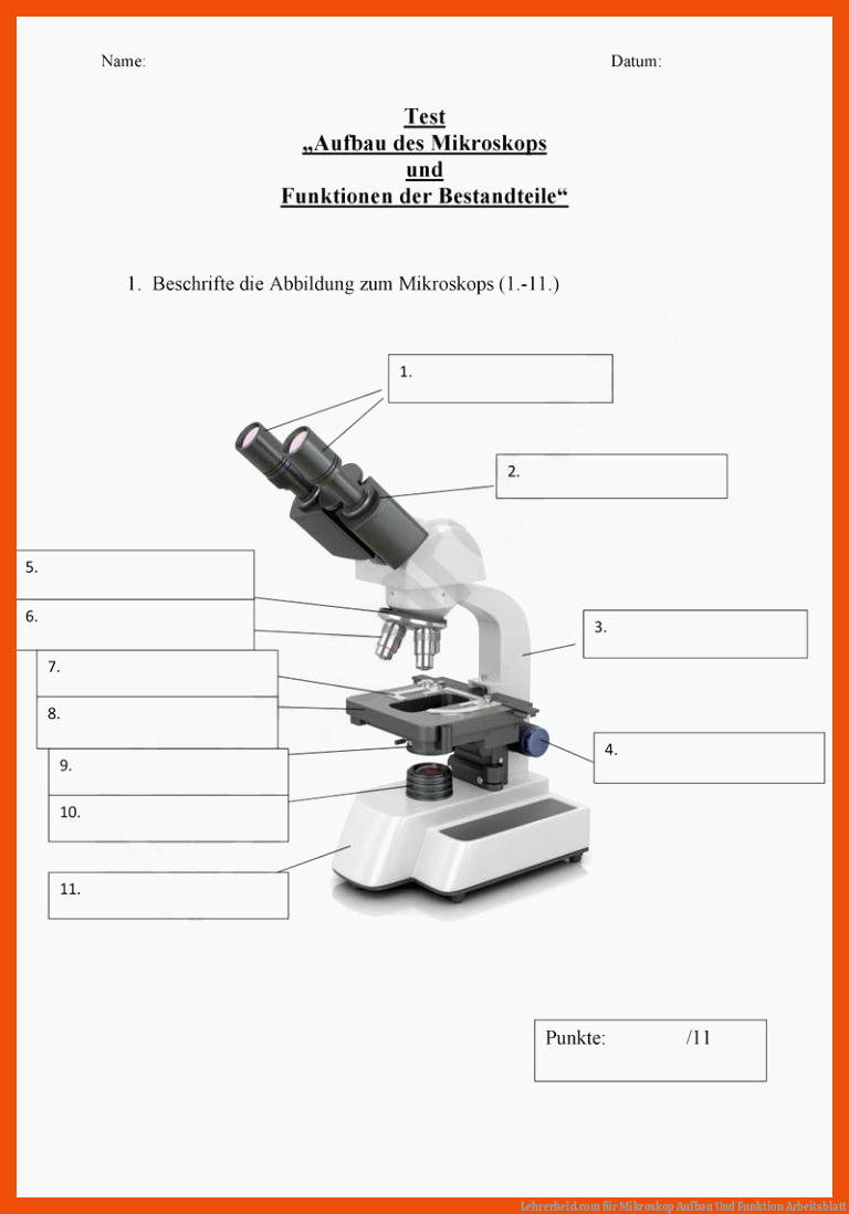 Lehrerheld.com für mikroskop aufbau und funktion arbeitsblatt