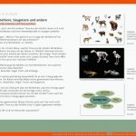 Lehrmaterial Tiere, Menschen, LebensrÃ¤ume â Pindactica Fuer Merkmale Säugetiere Arbeitsblatt