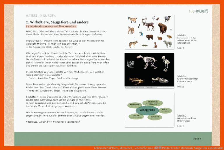 Lehrmaterial Tiere, Menschen, LebensrÃ¤ume â Pindactica für merkmale säugetiere arbeitsblatt