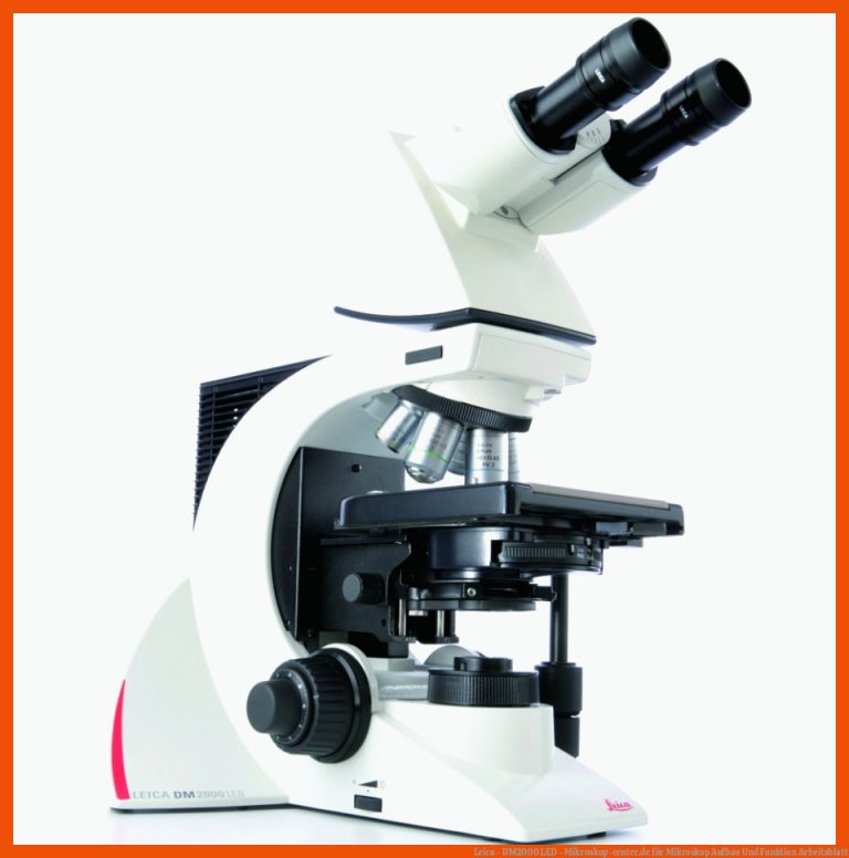 Leica - DM2000 LED - Mikroskop-center.de für mikroskop aufbau und funktion arbeitsblatt