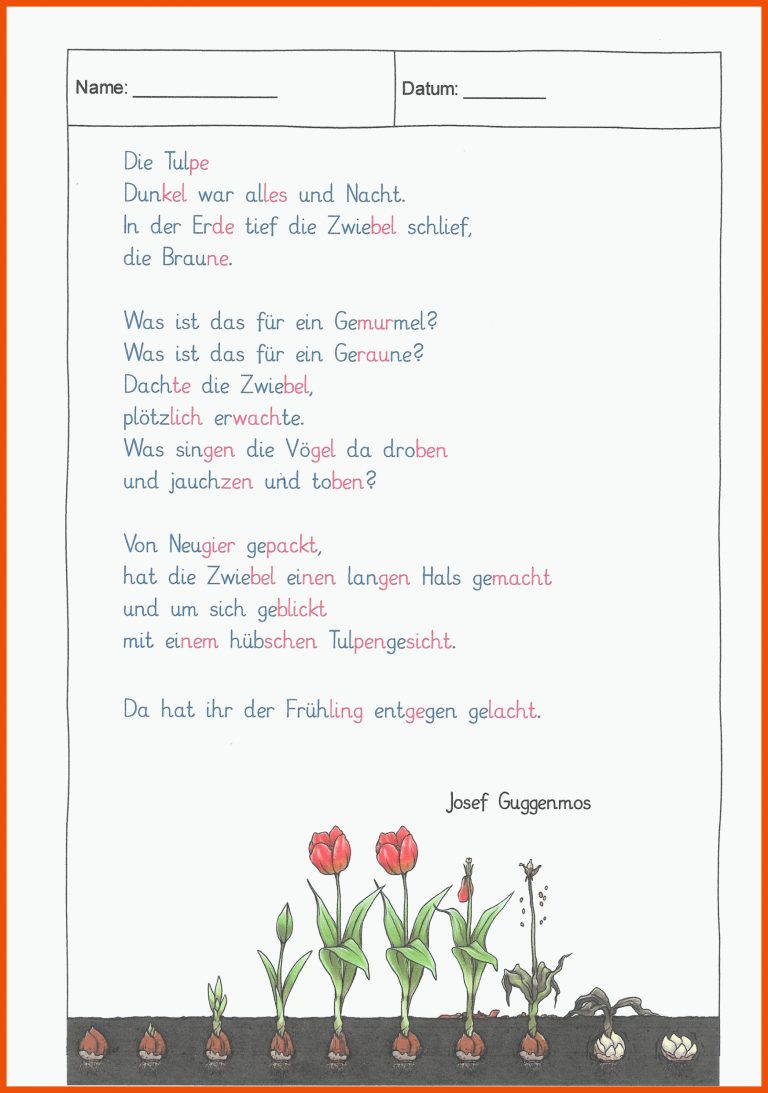 Lernangebot | ArbeitsblÃ¤tter - Peter-Wust-Schule MÃ¼nster für steckbrief tulpe arbeitsblatt