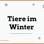 Lernheft: VÃ¶gel Im Winter âï¸ Link- Und Materialsammlung FÃ¼r ... Fuer Vögel Im Winter Arbeitsblätter