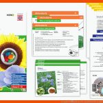 Lernpaket Ãlpflanzen Â» Landesbetrieb Landwirtschaft Hessen Fuer Schulgarten Arbeitsblätter