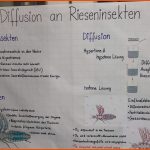 Lernplakate Zur Osmose Und Diffusion â Bio Jg.11 EinfÃ¼hrungsphase ... Fuer Diffusion Und Osmose Arbeitsblatt