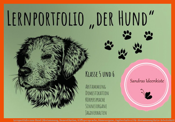 Lernportfolio zum Hund (Abstammung, Domestikation, KÃ¶rpersprache, Sinnesorgane, Jagdverhalten) für abstammung katze arbeitsblatt