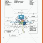 Lerntheke Zum Nervensystem Des Menschen - Meinunterricht Fuer Das Nervensystem Des Menschen Arbeitsblatt