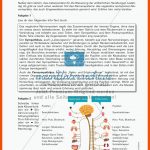 Lerntheke Zum Nervensystem Des Menschen - Meinunterricht Fuer Das Nervensystem Des Menschen Arbeitsblatt