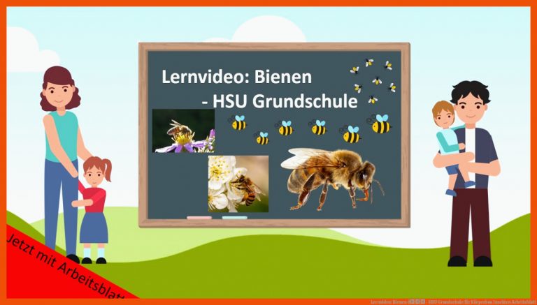 Lernvideo: Bienen ð- Hsu Grundschule Fuer Körperbau Insekten Arbeitsblatt