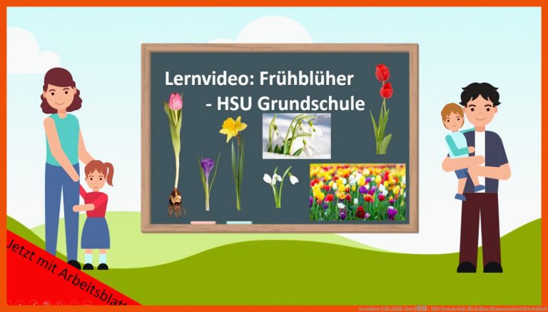 Lernvideo: FrÃ¼hblÃ¼her ð·- HSU Grundschule für aufbau blumenzwiebel arbeitsblatt