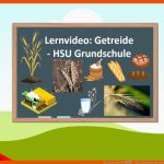 Lernvideo: Getreide ð¾- Hsu Grundschule Fuer Sachunterricht Vom Korn Zum Brot Grundschule Arbeitsblätter