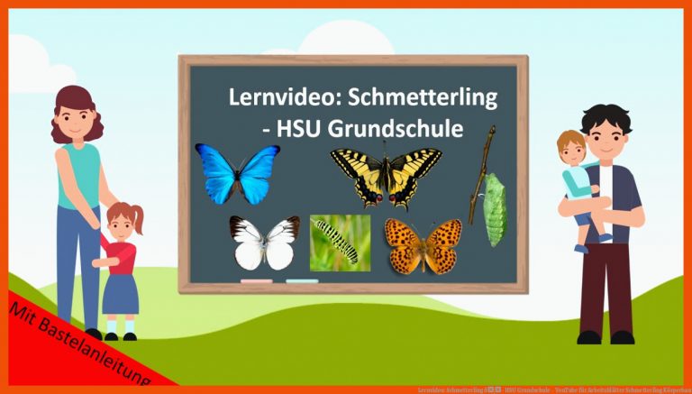Lernvideo: Schmetterling ð¦- Hsu Grundschule - Youtube Fuer Arbeitsblätter Schmetterling Körperbau