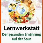 Lernwerkstatt Der Gesunden ErnÃ¤hrung Auf Der Spur Fuer Ernährungskreis Arbeitsblatt
