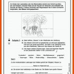 Lernwerkstatt Der Wald Buch Versandkostenfrei Bei Weltbild.de ... Fuer Lernwerkstatt Indianer Arbeitsblätter