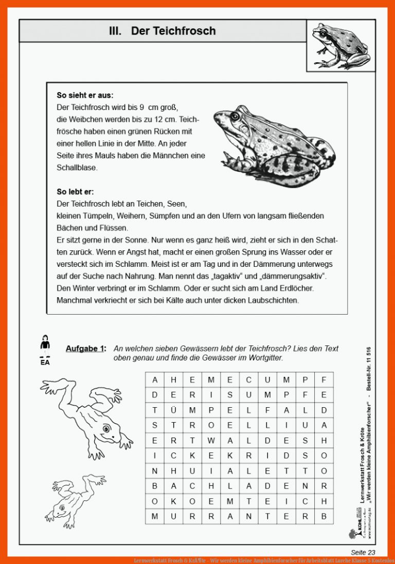 Lernwerkstatt Frosch & KrÃ¶te - Wir werden kleine Amphibienforscher für arbeitsblatt lurche klasse 5 kostenlos