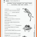 Lernwerkstatt Frosch & KrÃ¶te - Wir Werden Kleine Amphibienforscher Fuer Von Der Kaulquappe Zum Frosch Arbeitsblatt