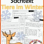 Lernwerkstatt Tiere Im Winter 22 Differenzierte ArbeitsblÃ¤tter FÃ¼r ... Fuer Tiere Im Winter Arbeitsblätter
