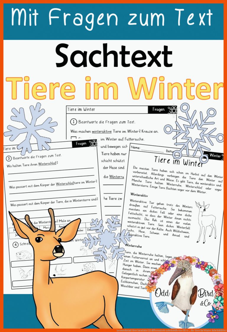 Lernwerkstatt tiere im winter 22 differenzierte arbeitsblÃ¤tter fÃ¼r ... für tiere im winter arbeitsblätter