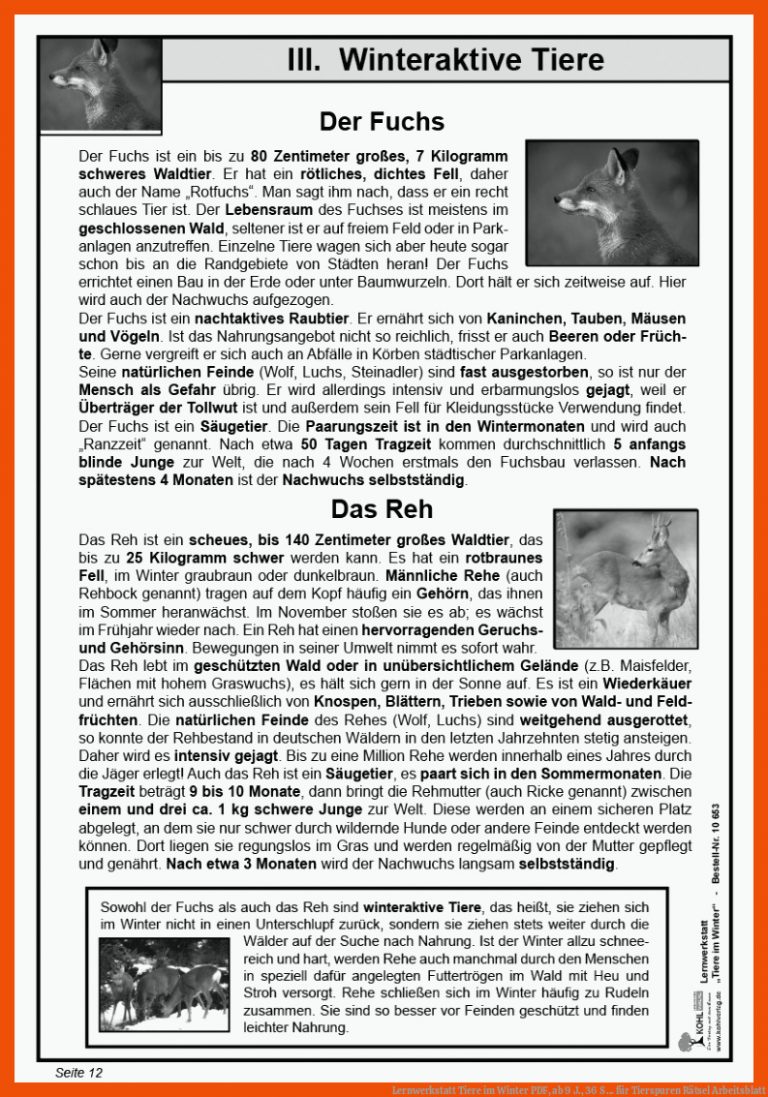 Lernwerkstatt Tiere im Winter PDF, ab 9 J., 36 S ... für tierspuren rätsel arbeitsblatt