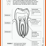 Lernwerkstatt Unsere ZÃ¤hne - Richtige Zahnpflege ist Lebenswichtig! Fuer Zähne Arbeitsblatt