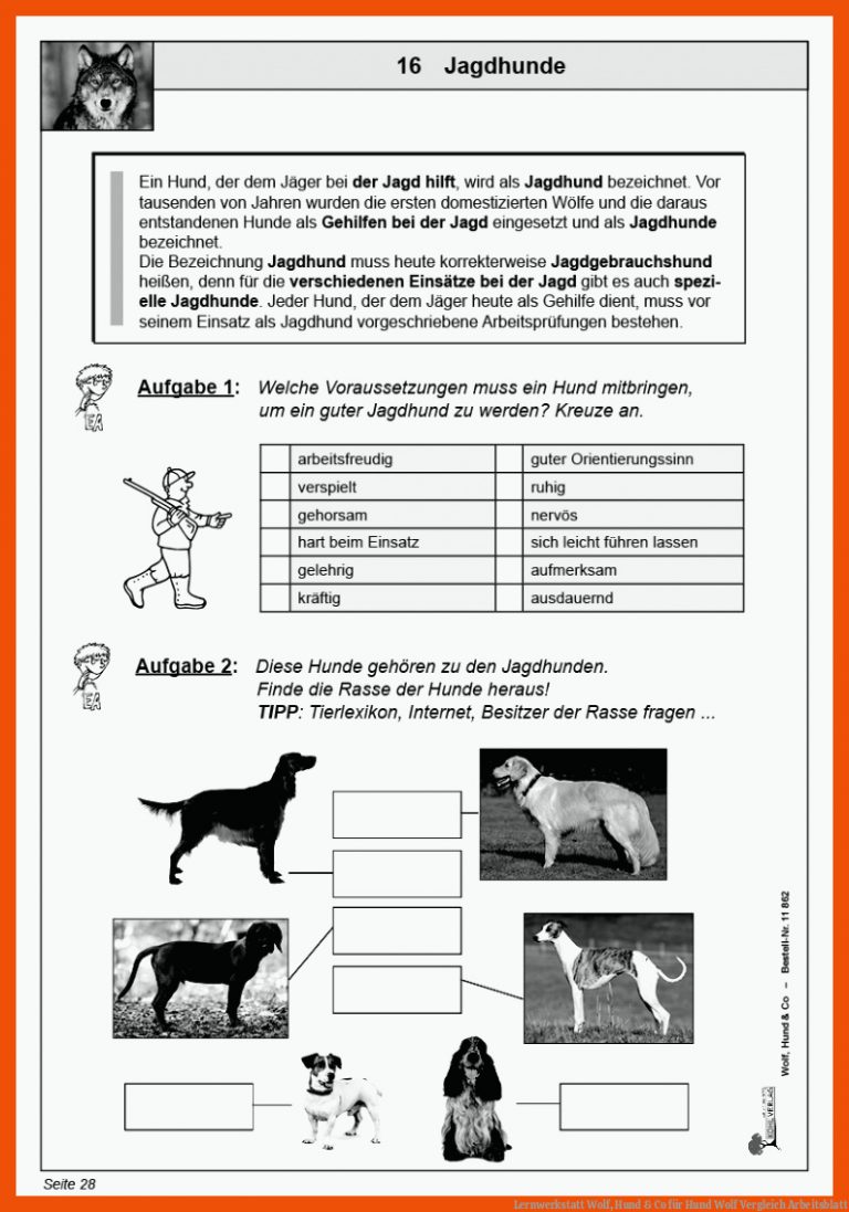 Lernwerkstatt Wolf, Hund & Co für hund wolf vergleich arbeitsblatt