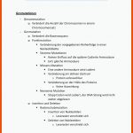 Lernzettel Klausur 1 - Lernzettel: Biologieklausur 3 Genmutationen ... Fuer Mutation Und Modifikation Arbeitsblatt Lösungen