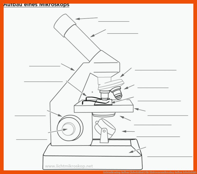 Lichtmikroskop Aufbau (Arbeitsblatt) für elektronenmikroskop aufbau arbeitsblatt