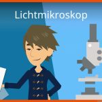 Lichtmikroskop Fuer Mikroskop Aufbau Und Funktion Arbeitsblatt