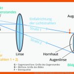 Linsen & Spiegel: Wie Funktioniert Ein Fernrohr? Physik Alpha ... Fuer Lichtbündel Und Lichtstrahl Arbeitsblatt