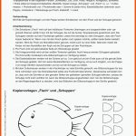 Literacy-projekt Zu "der Regenbogenfisch" (fÃ¼r Kinder Zwischen 2 ... Fuer Der Regenbogenfisch Arbeitsblätter